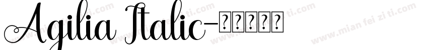 Agilia Italic字体转换